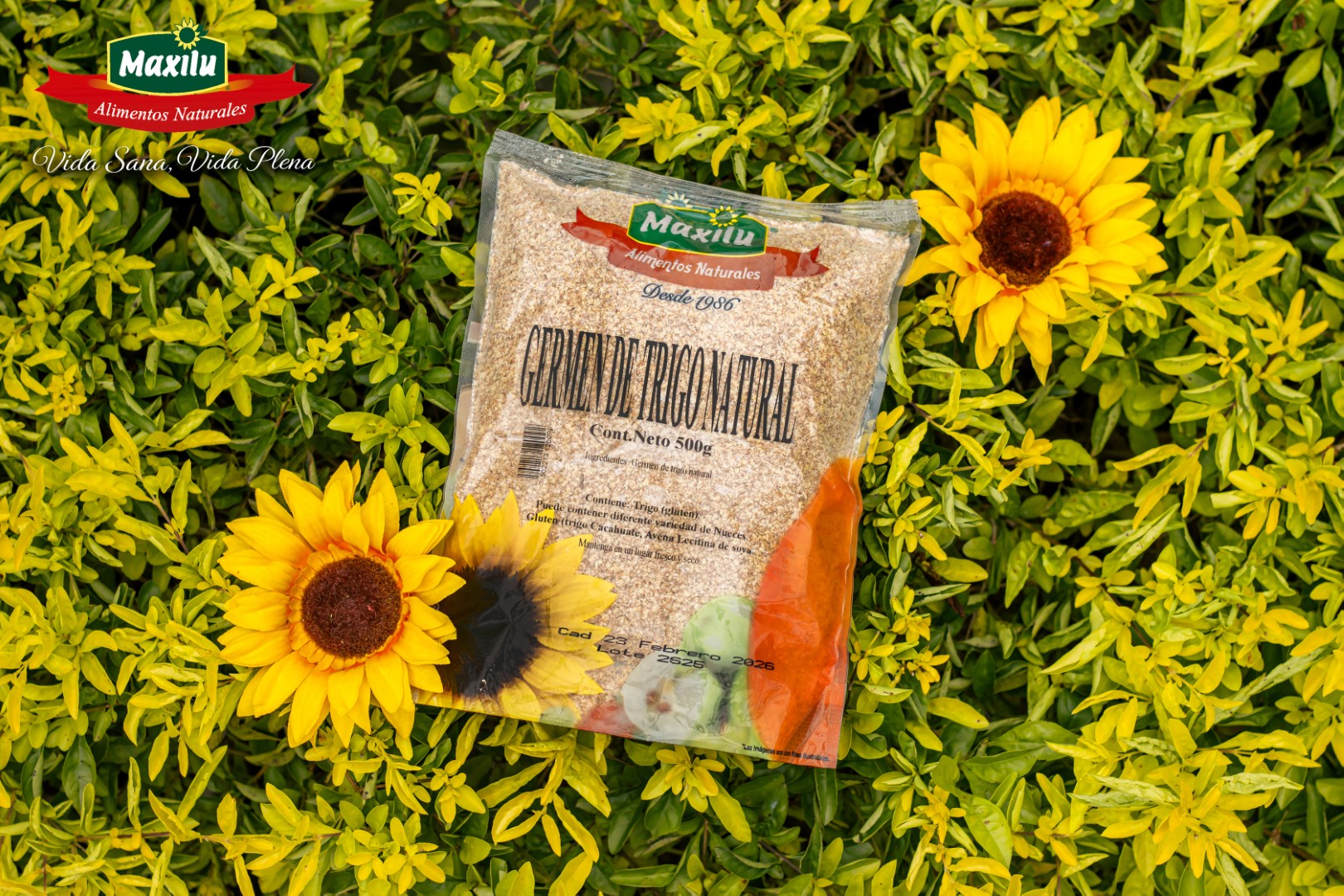 Germen de trigo Natural